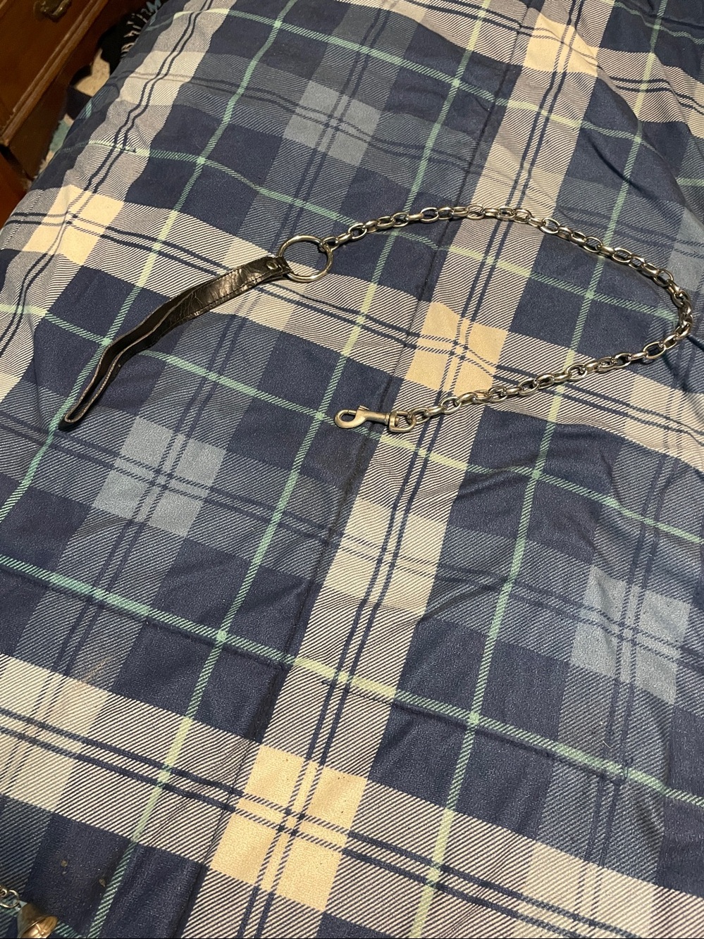 leash